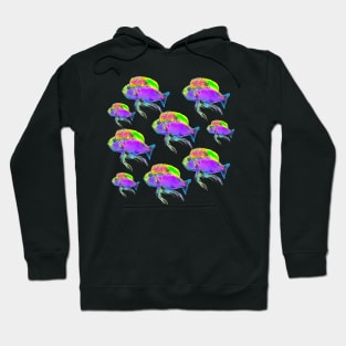 Colorful Fish Pattern Hoodie